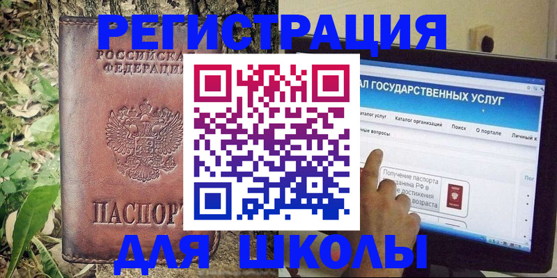 прописка для школы в Владимирской области